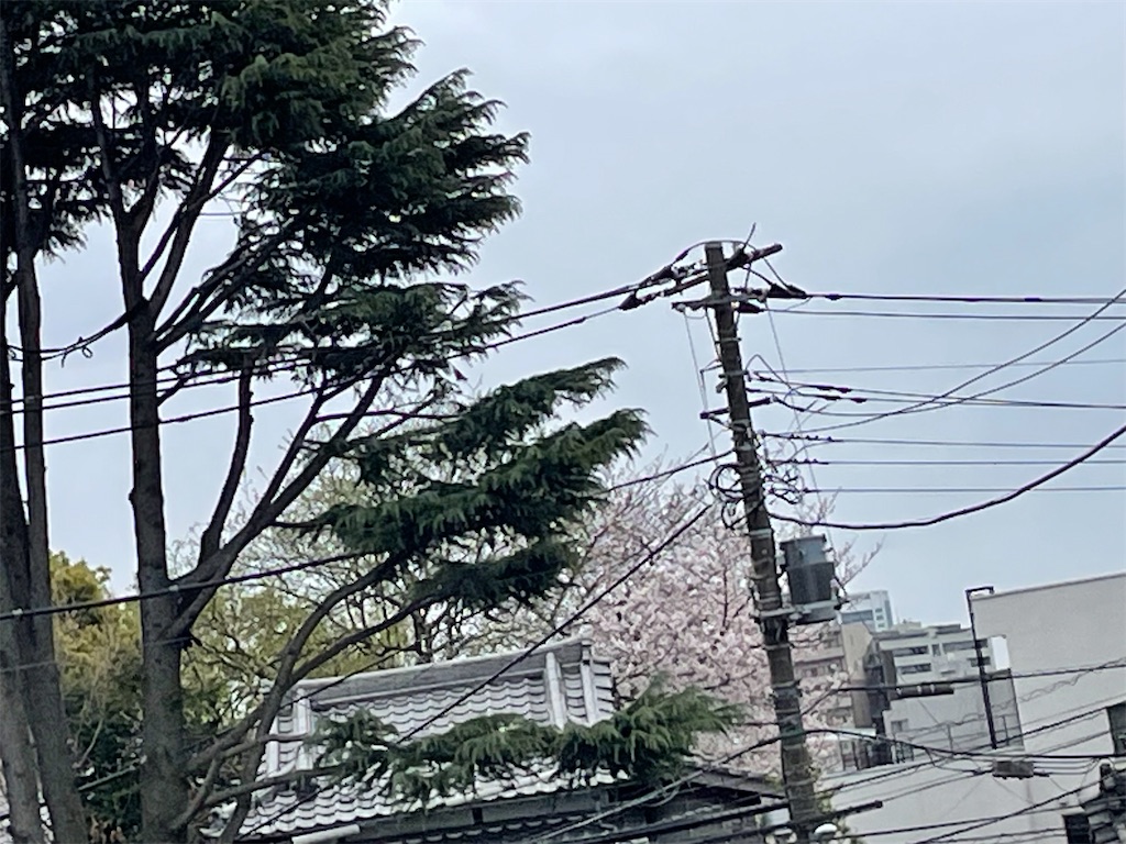f:id:TokuheiKumagai:20250331160407j:image
