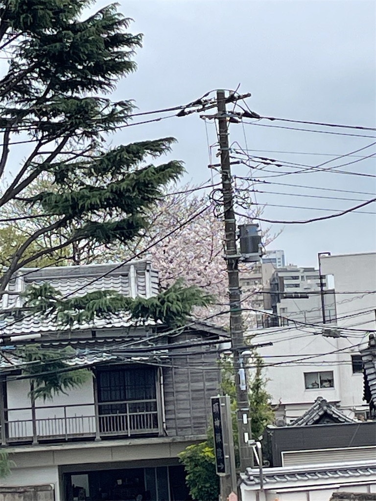 f:id:TokuheiKumagai:20250331160410j:image