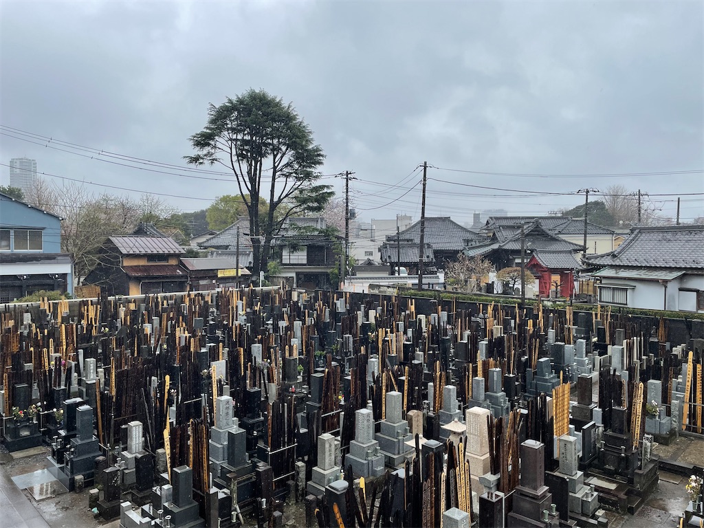 f:id:TokuheiKumagai:20250401141632j:image