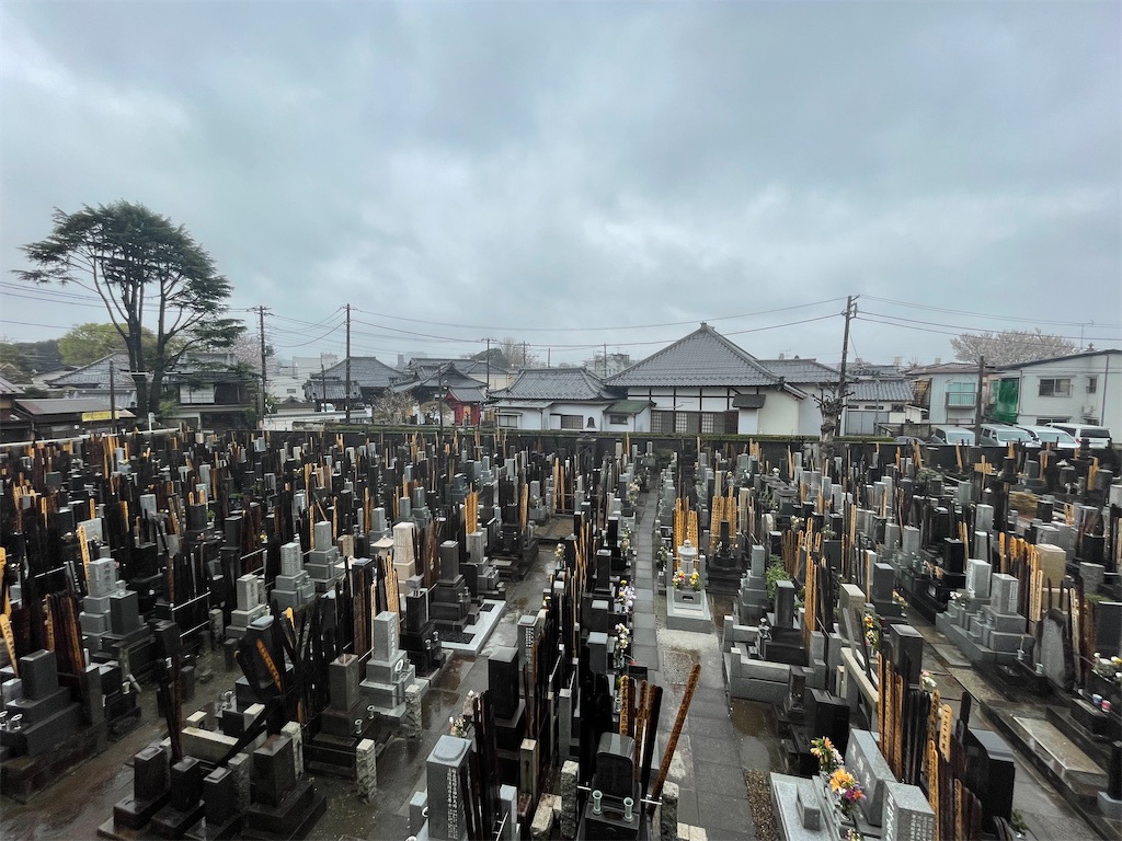 f:id:TokuheiKumagai:20250401141636j:image