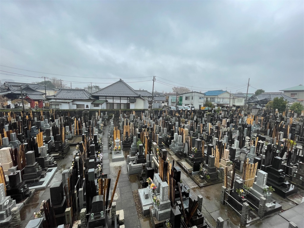 f:id:TokuheiKumagai:20250401141639j:image