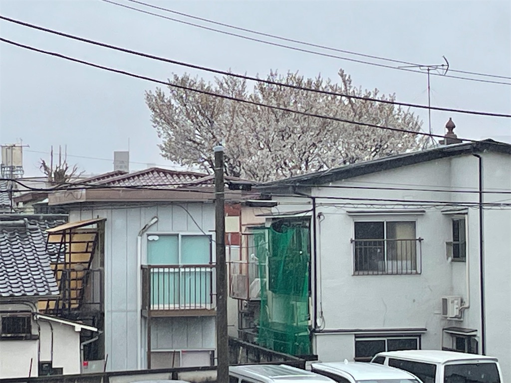 f:id:TokuheiKumagai:20250401141643j:image