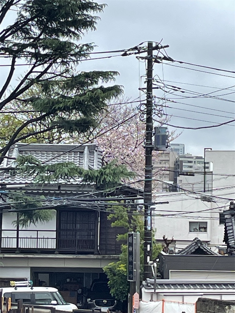 f:id:TokuheiKumagai:20250402111556j:image