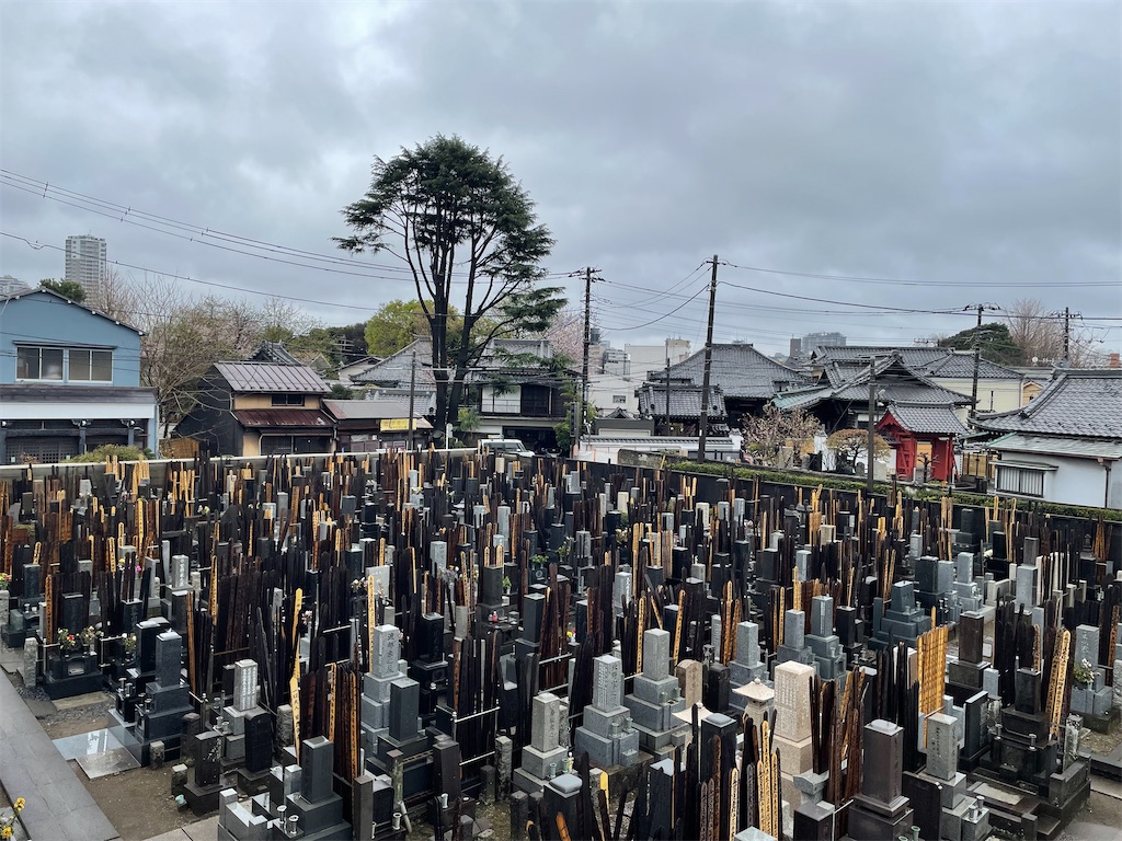 f:id:TokuheiKumagai:20250402111604j:image