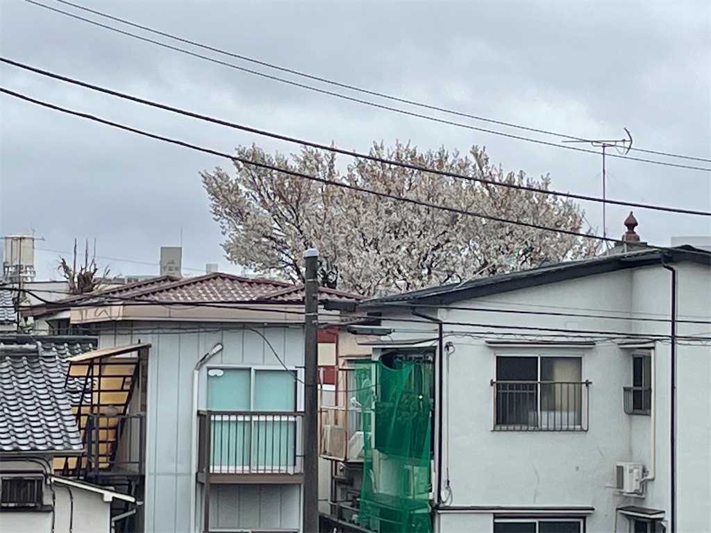 f:id:TokuheiKumagai:20250402111608j:image