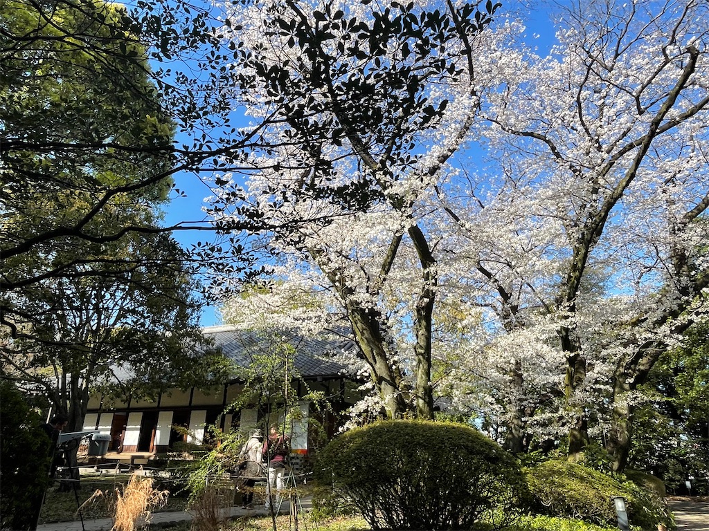 f:id:TokuheiKumagai:20250404185416j:image
