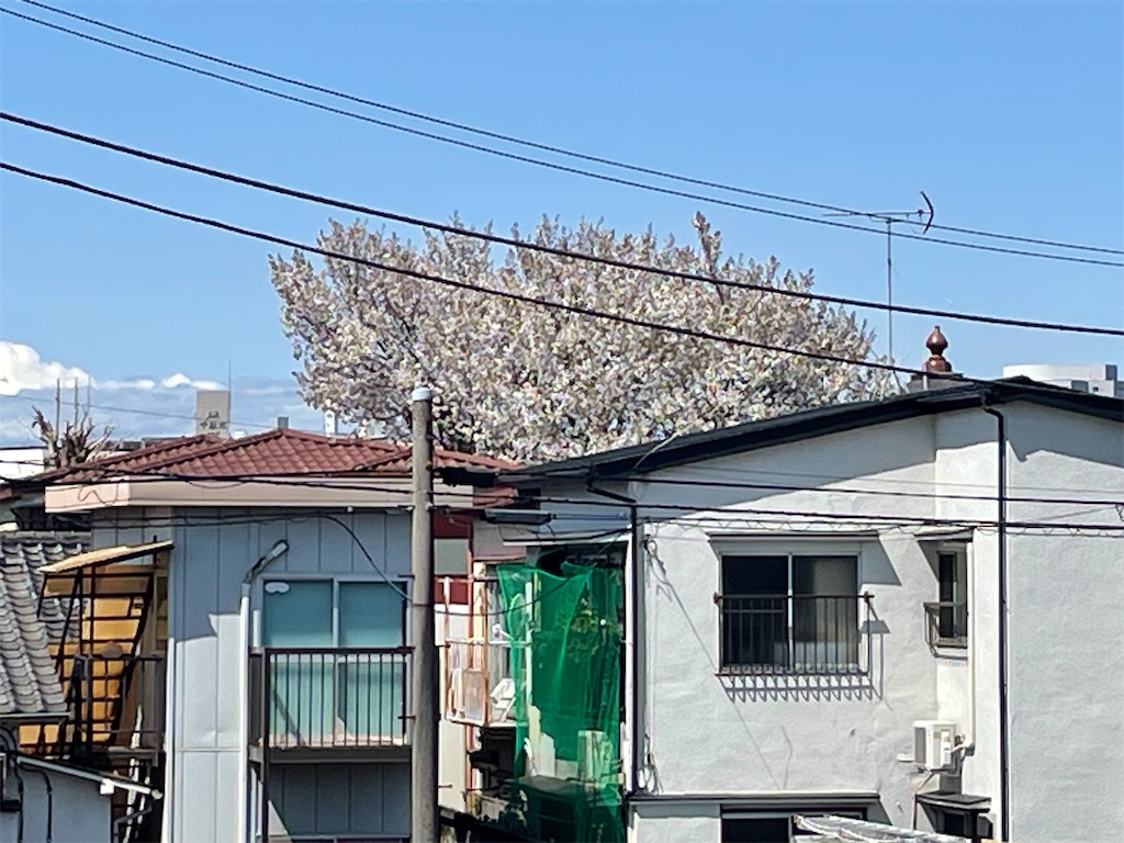f:id:TokuheiKumagai:20250404185438j:image