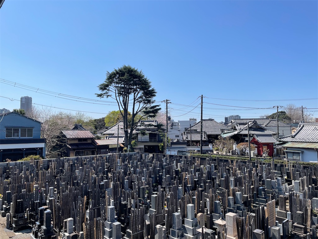 f:id:TokuheiKumagai:20250404185445j:image
