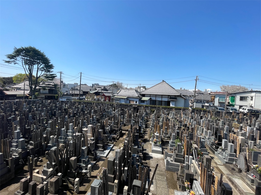 f:id:TokuheiKumagai:20250404185449j:image
