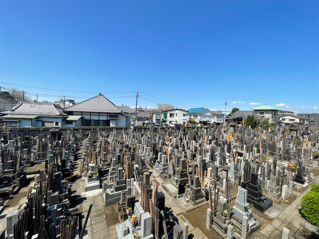 f:id:TokuheiKumagai:20250404185453j:image