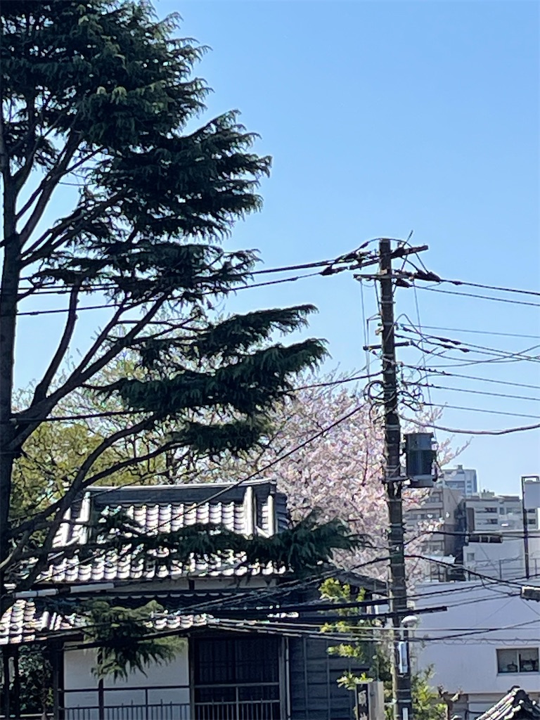 f:id:TokuheiKumagai:20250404185508j:image