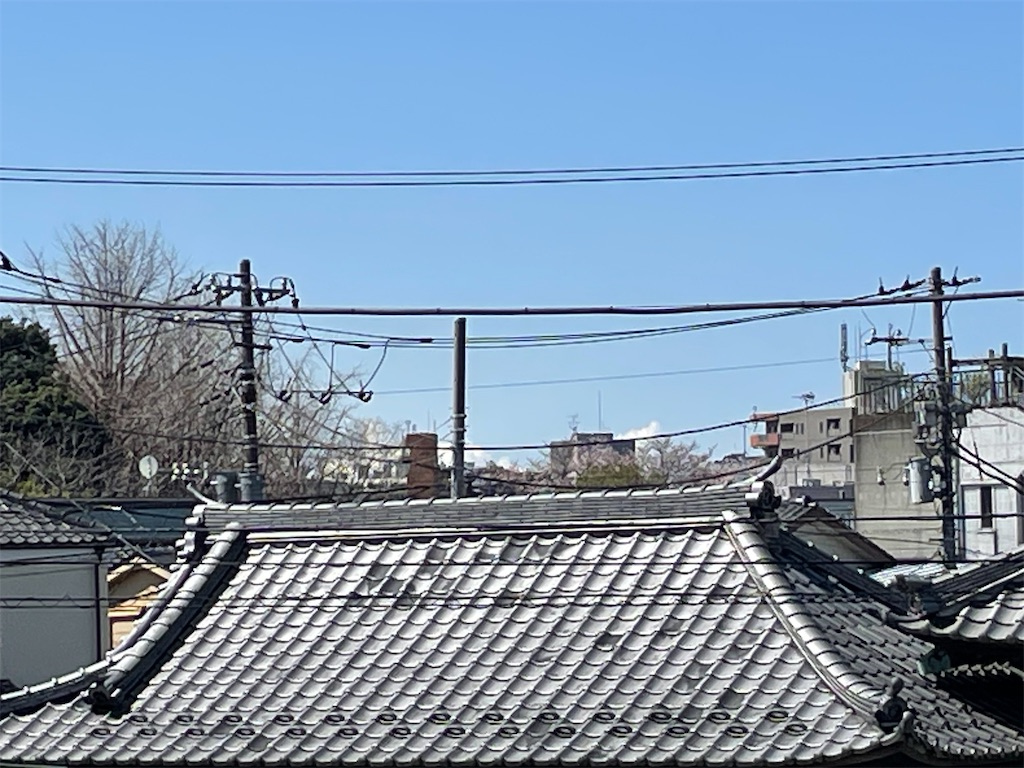 f:id:TokuheiKumagai:20250404185515j:image