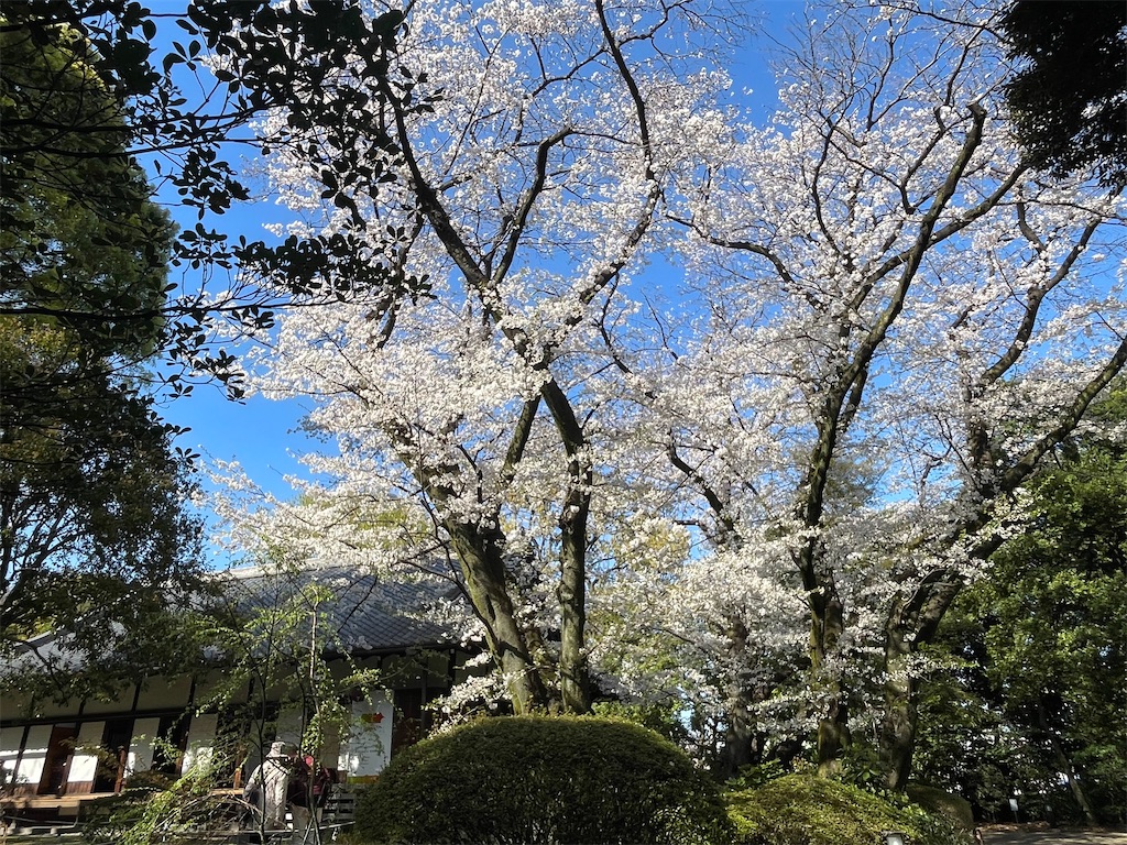 f:id:TokuheiKumagai:20250404185616j:image