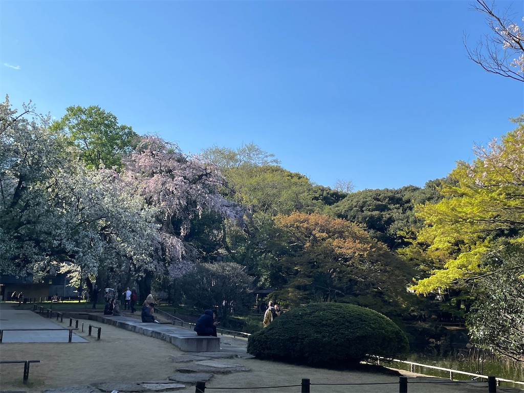 f:id:TokuheiKumagai:20250404185647j:image