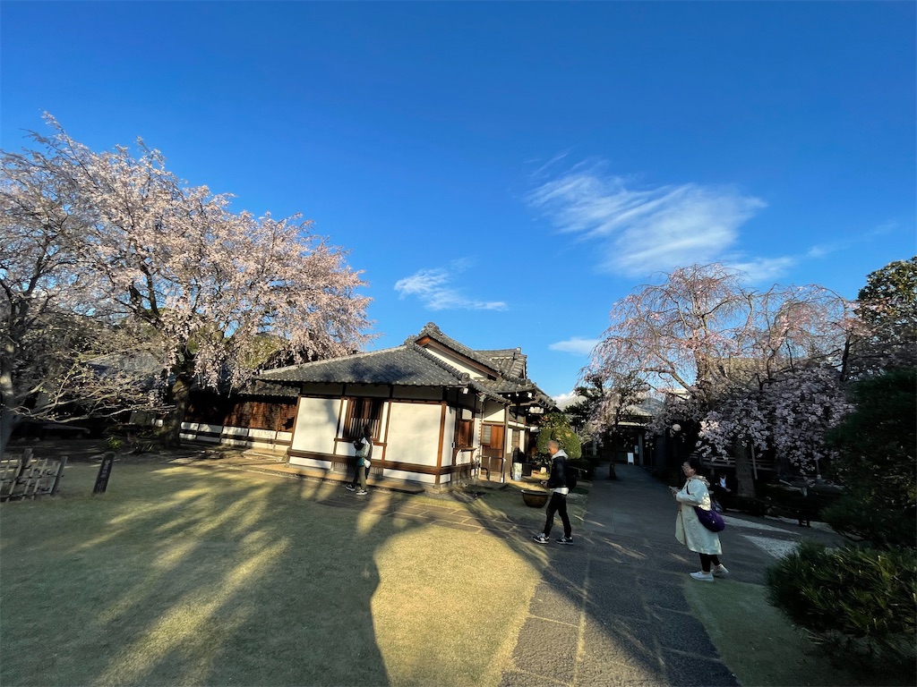 f:id:TokuheiKumagai:20250404185655j:image
