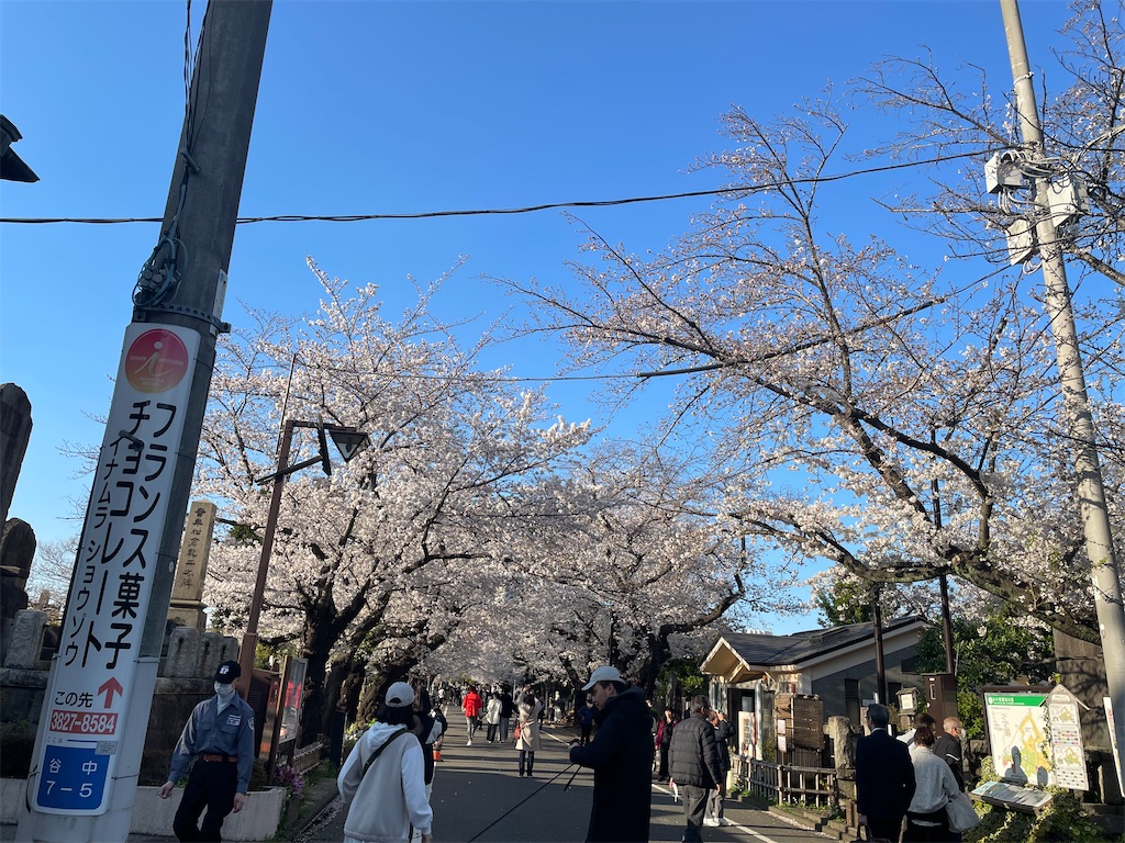 f:id:TokuheiKumagai:20250404185710j:image
