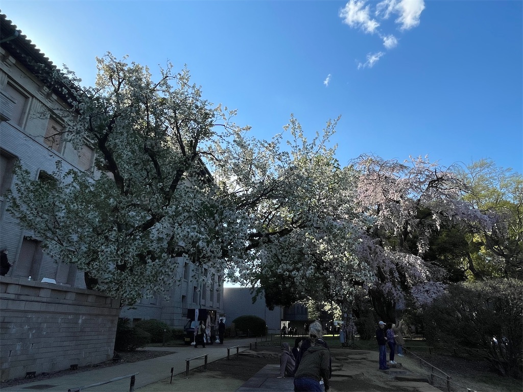 f:id:TokuheiKumagai:20250404185717j:image