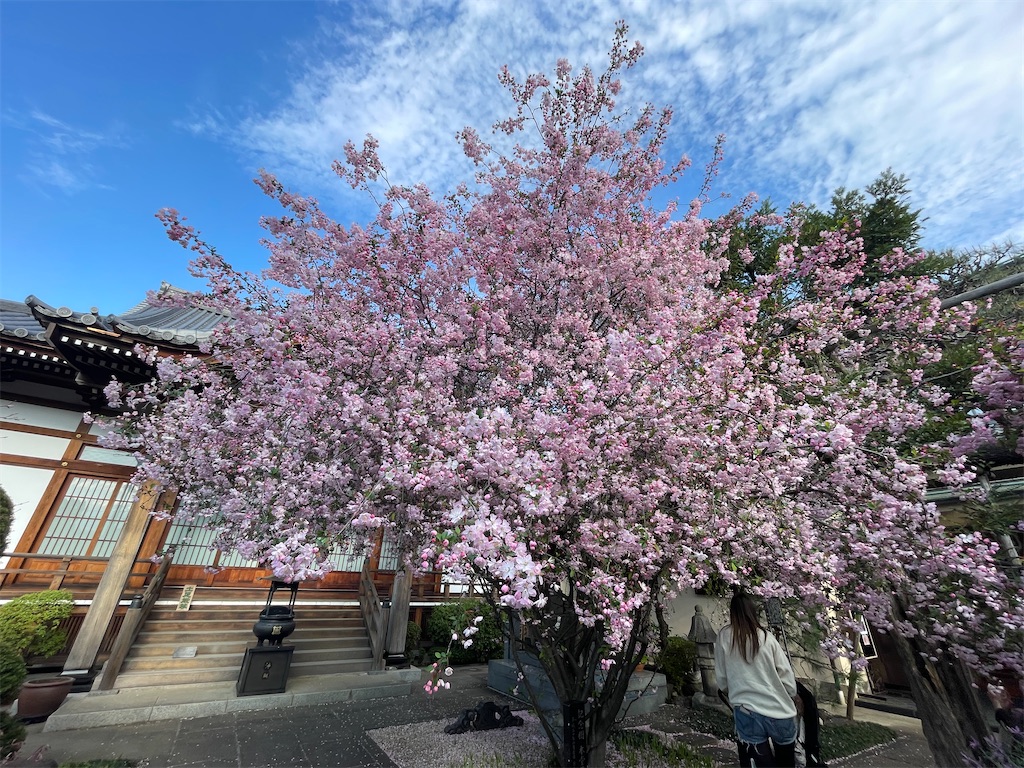 f:id:TokuheiKumagai:20250404185721j:image