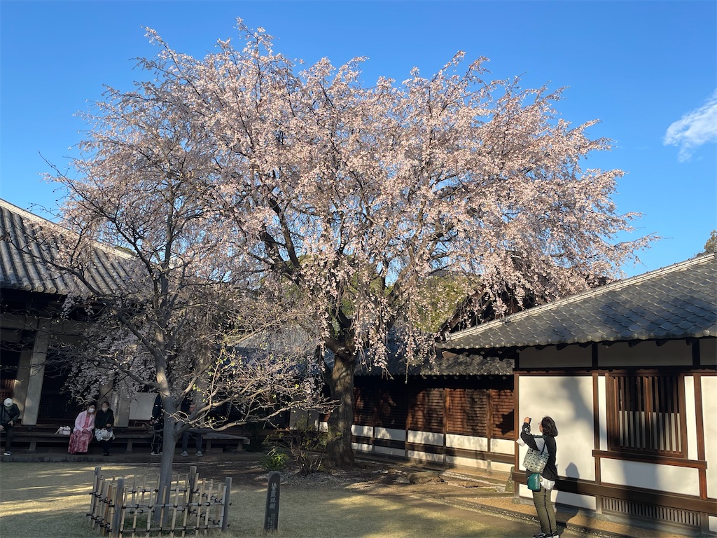 f:id:TokuheiKumagai:20250404185724j:image