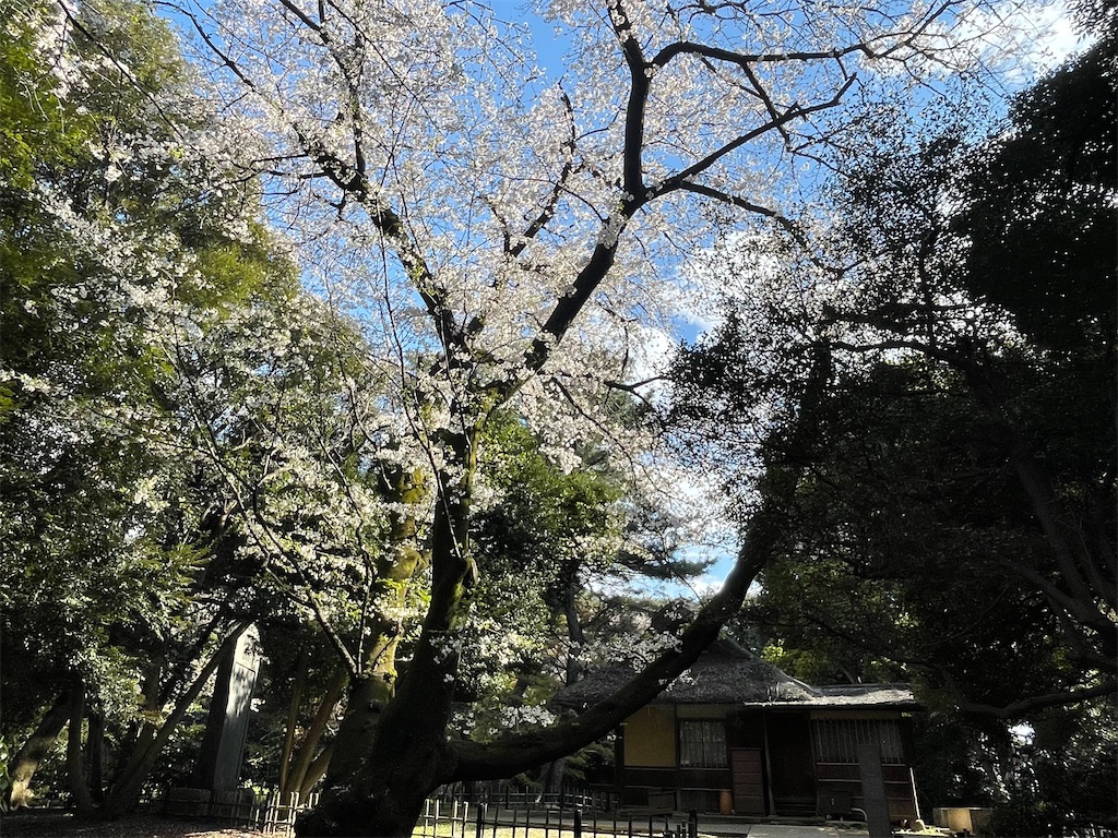 f:id:TokuheiKumagai:20250404185730j:image