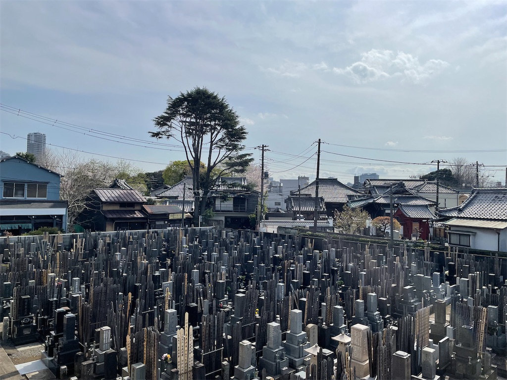 f:id:TokuheiKumagai:20250405150413j:image