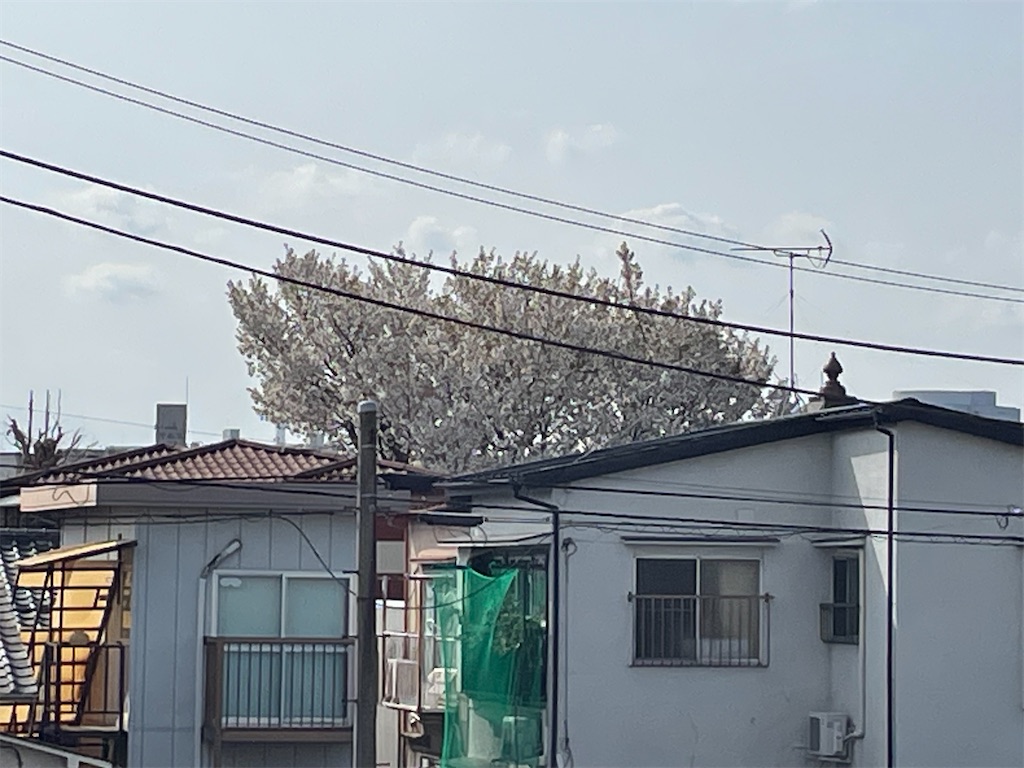 f:id:TokuheiKumagai:20250405150416j:image