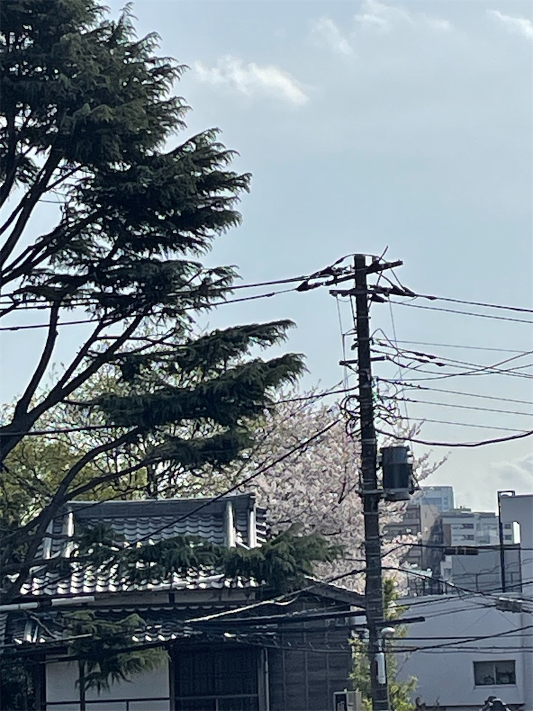f:id:TokuheiKumagai:20250405150427j:image