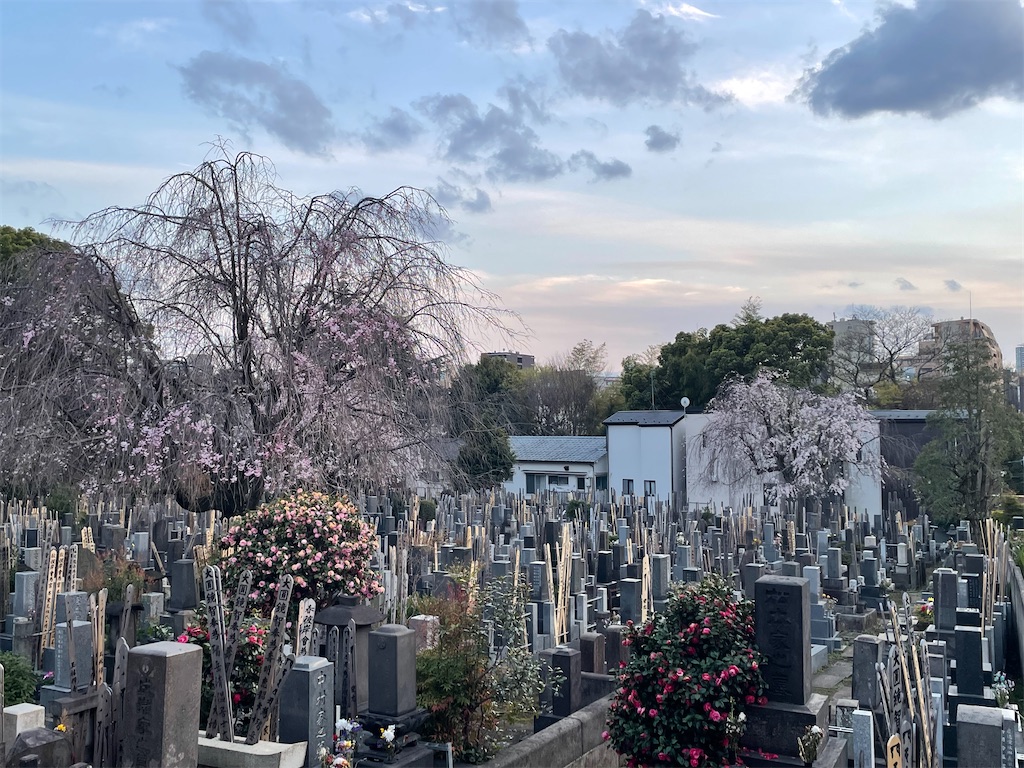 f:id:TokuheiKumagai:20250406103804j:image