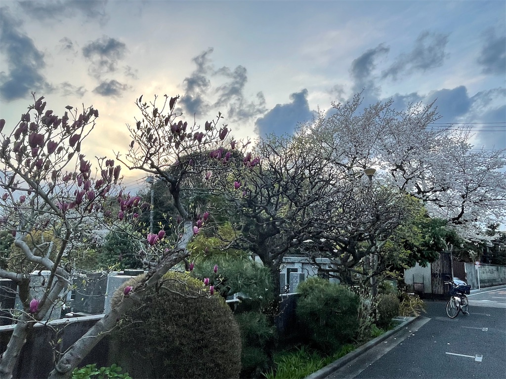 f:id:TokuheiKumagai:20250406103810j:image