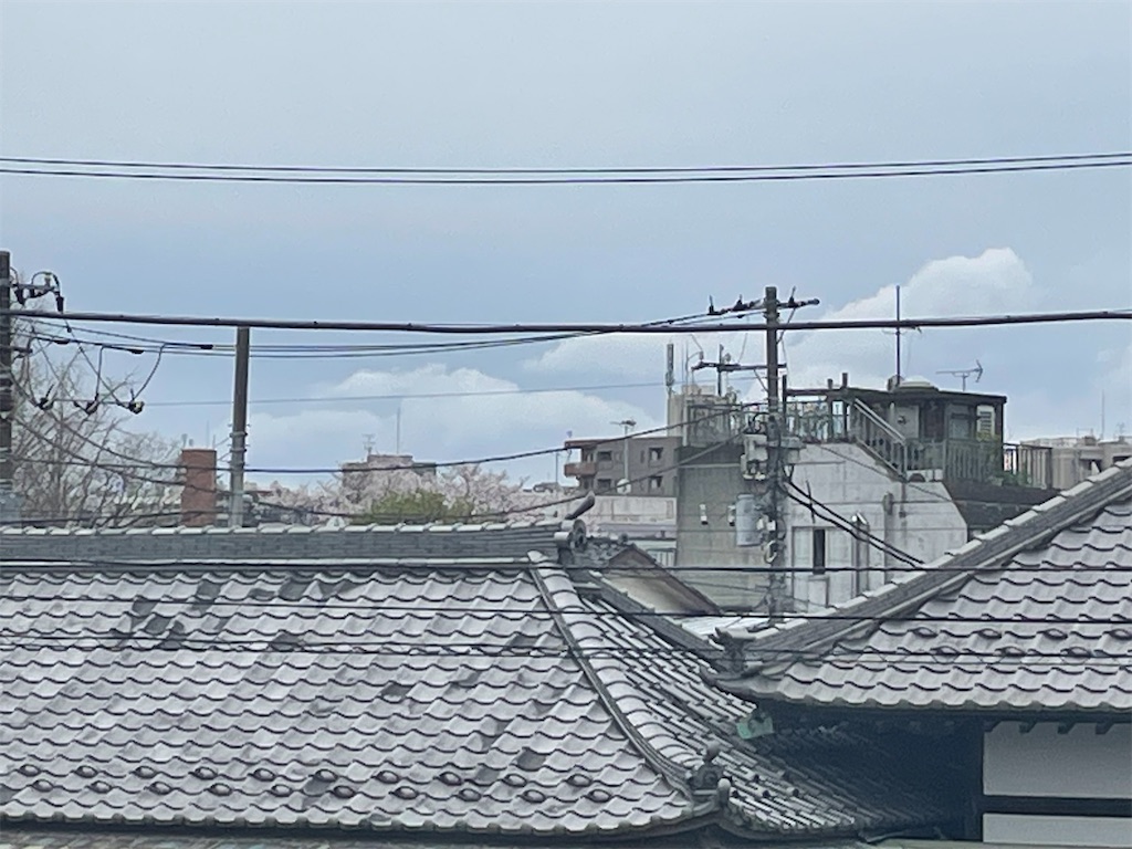f:id:TokuheiKumagai:20250406123403j:image