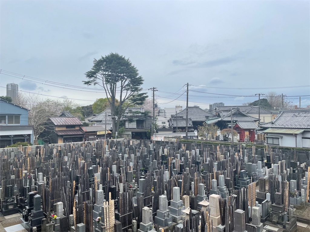f:id:TokuheiKumagai:20250406123407j:image