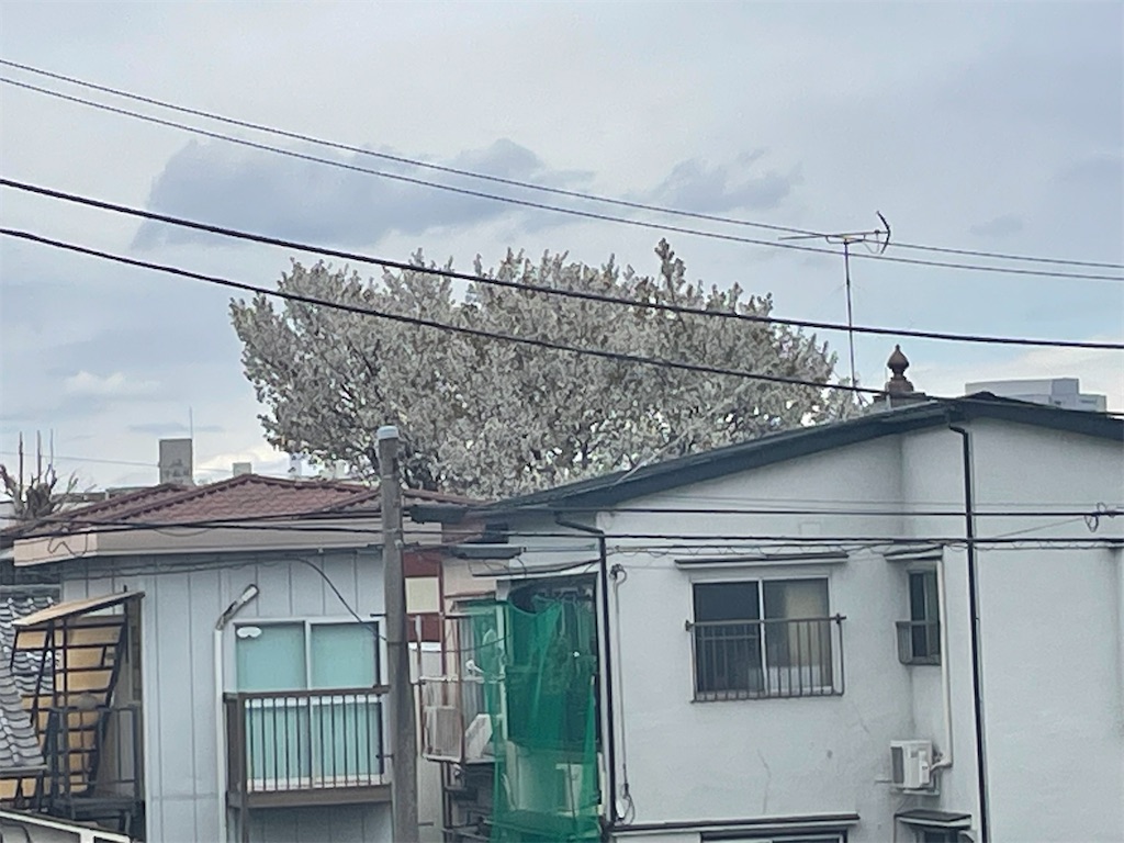 f:id:TokuheiKumagai:20250406123416j:image
