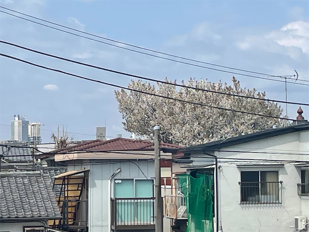 f:id:TokuheiKumagai:20250407102235j:image