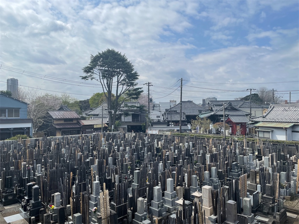 f:id:TokuheiKumagai:20250407102302j:image