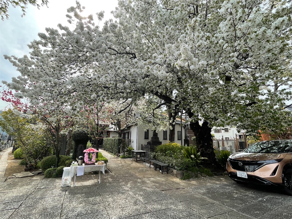 f:id:TokuheiKumagai:20250408174340j:image