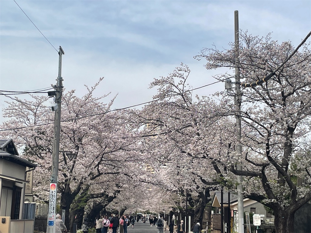 f:id:TokuheiKumagai:20250408174648j:image