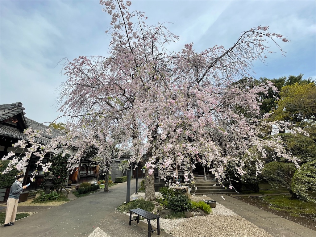 f:id:TokuheiKumagai:20250408174744j:image