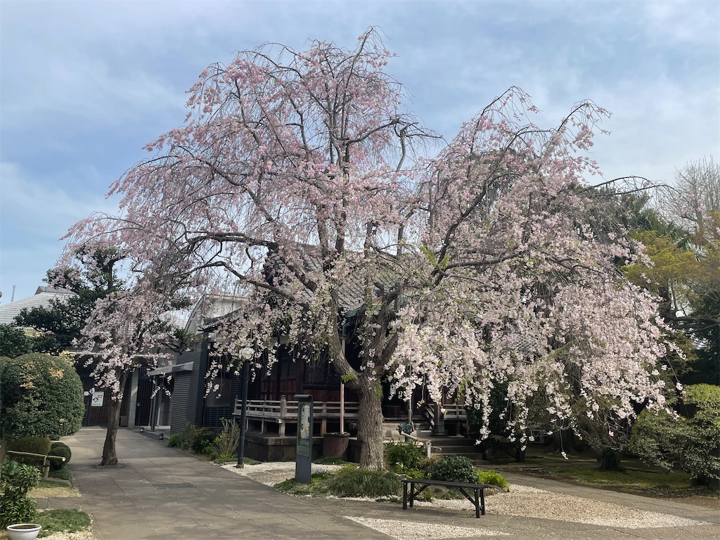 f:id:TokuheiKumagai:20250408174756j:image