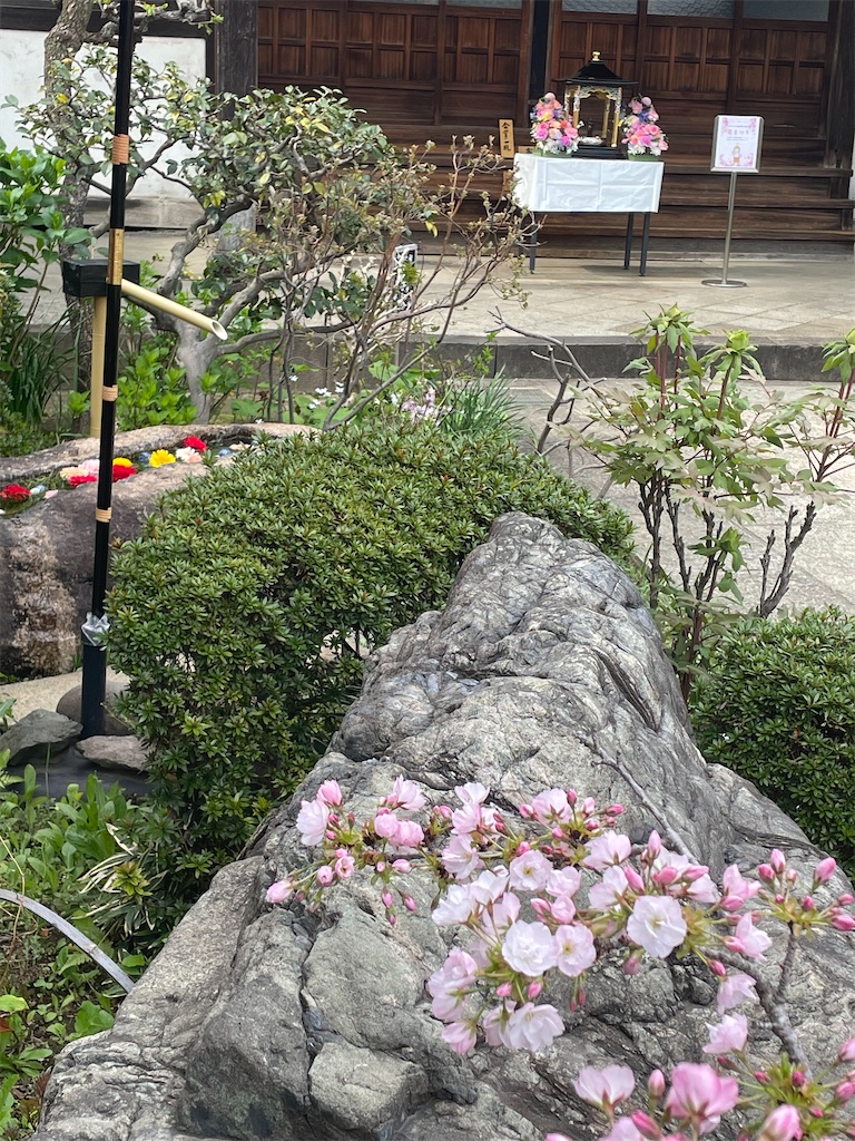 f:id:TokuheiKumagai:20250408175327j:image