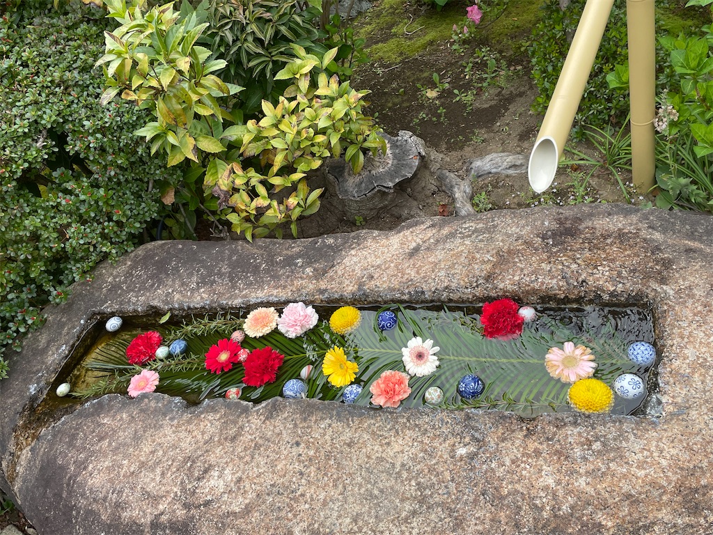 f:id:TokuheiKumagai:20250408175331j:image