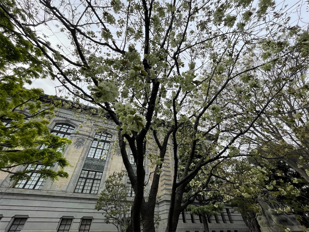 f:id:TokuheiKumagai:20250408180315j:image