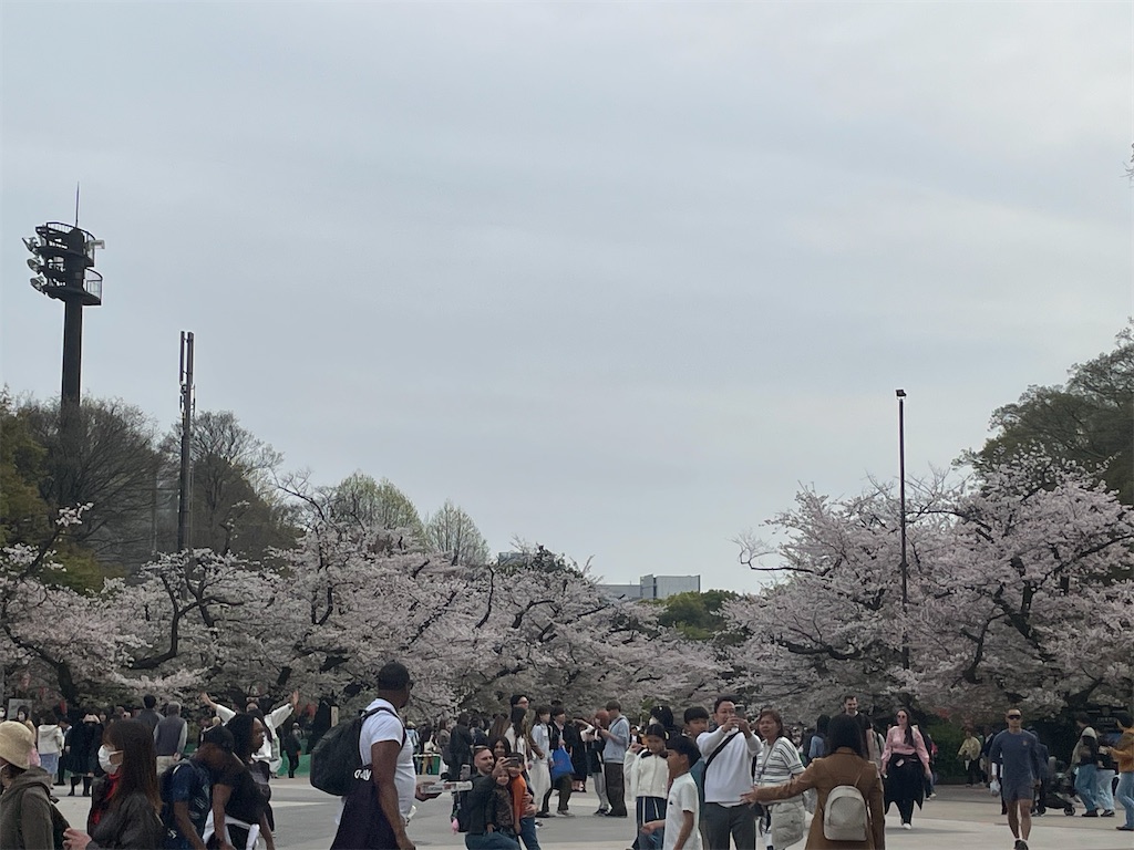 f:id:TokuheiKumagai:20250408180354j:image