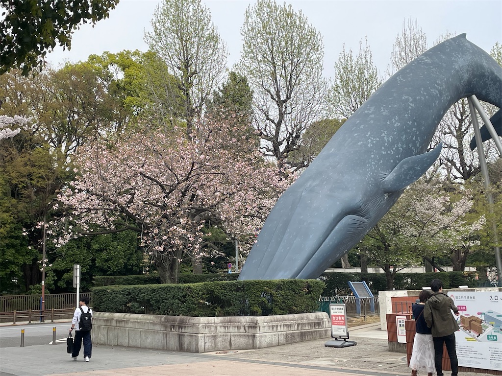f:id:TokuheiKumagai:20250408180401j:image