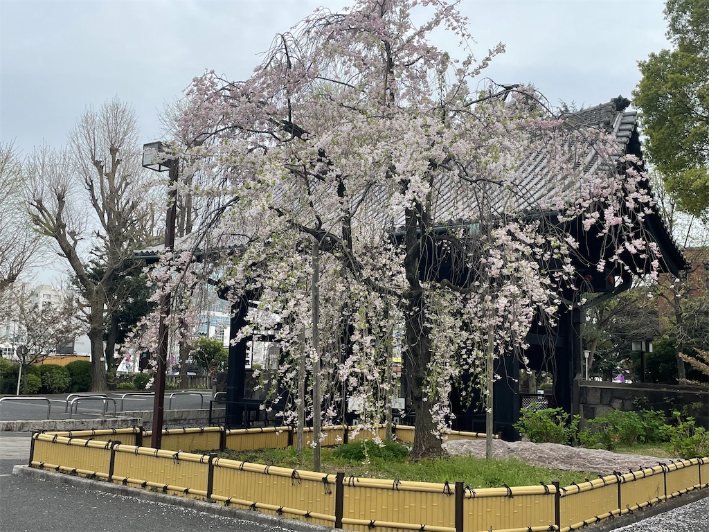 f:id:TokuheiKumagai:20250408180528j:image