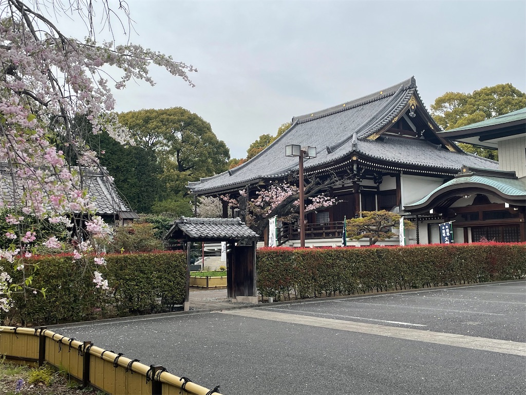 f:id:TokuheiKumagai:20250408180550j:image