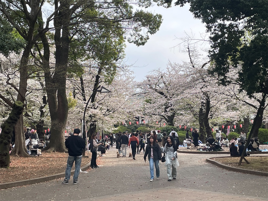 f:id:TokuheiKumagai:20250408180605j:image