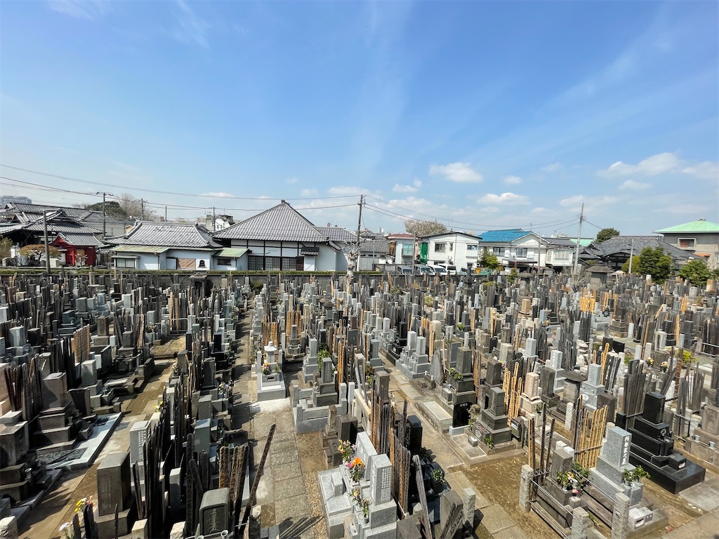 f:id:TokuheiKumagai:20250408180822j:image