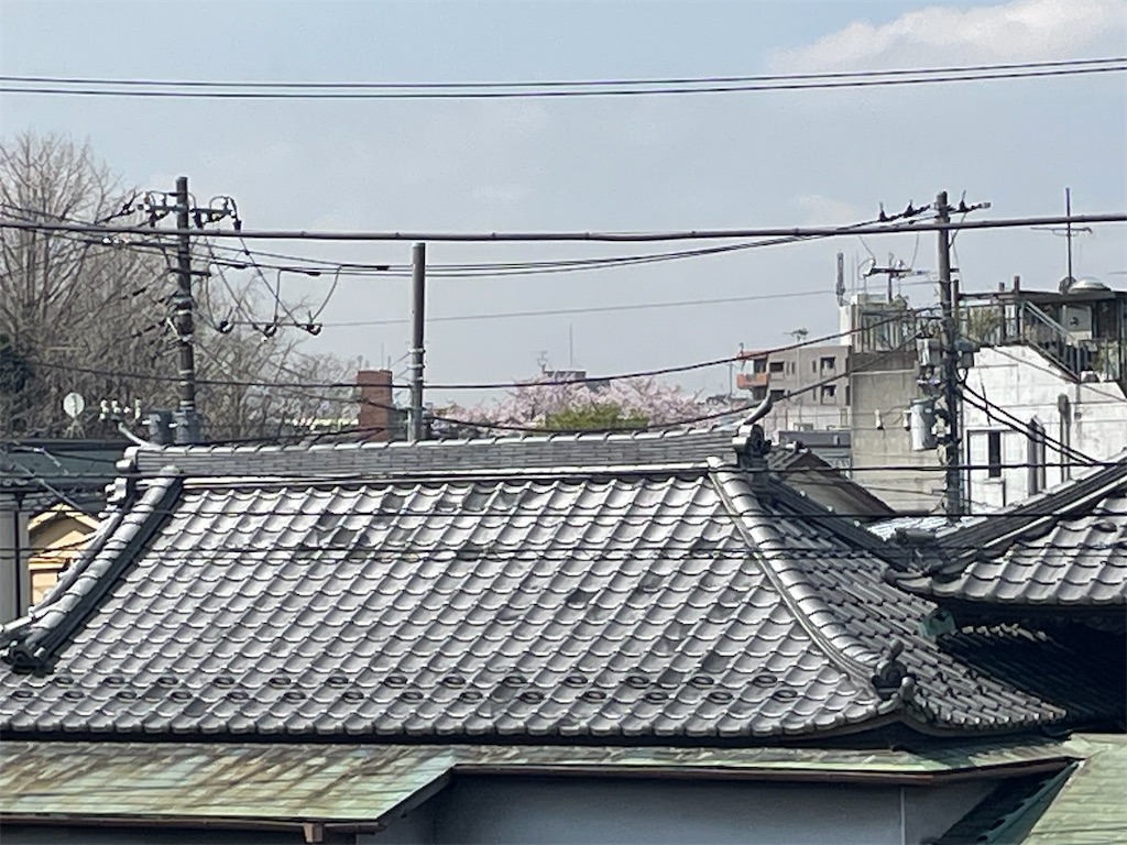 f:id:TokuheiKumagai:20250408180826j:image