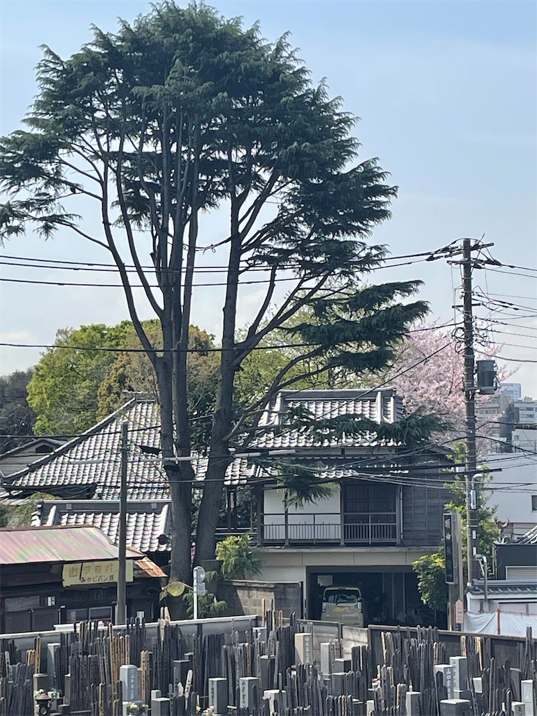 f:id:TokuheiKumagai:20250408180837j:image