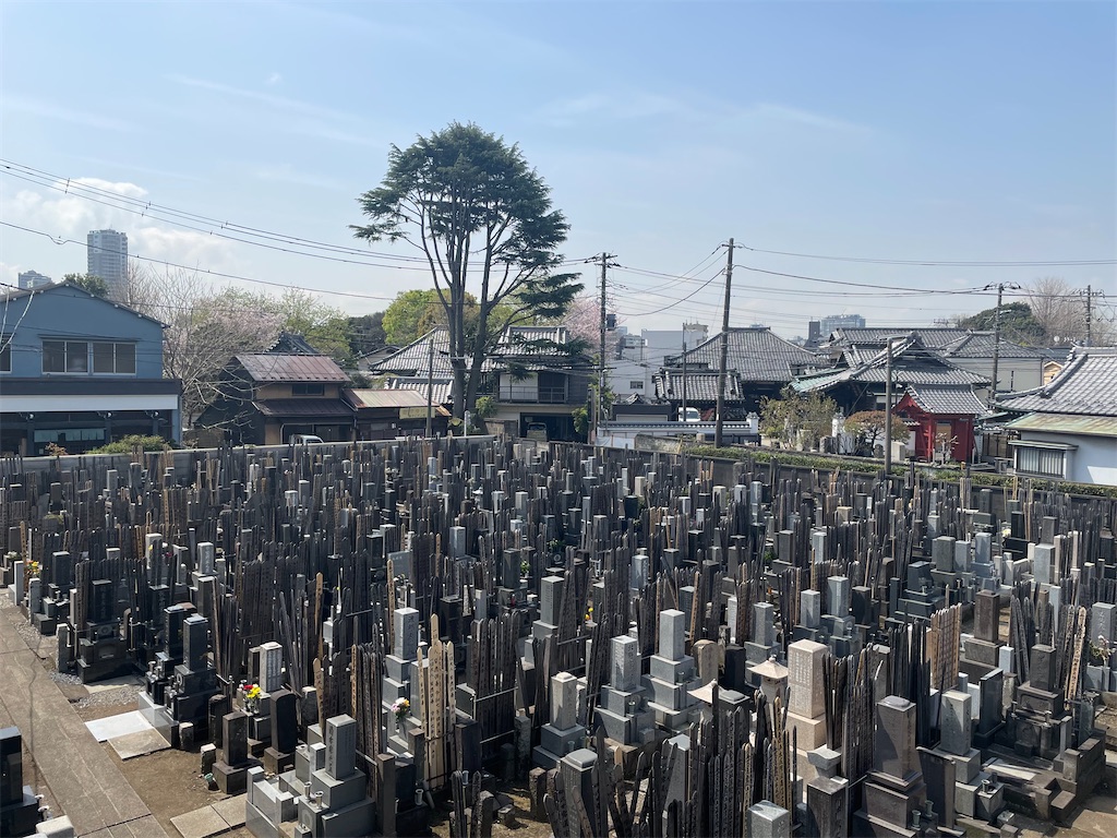 f:id:TokuheiKumagai:20250408180844j:image